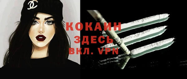 крисы Абаза