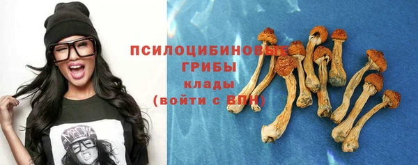 а пвп мука Алзамай