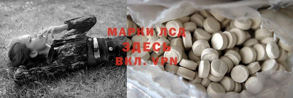 крисы Абаза