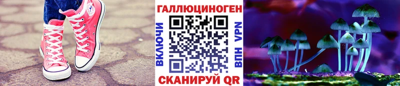 Псилоцибиновые грибы прущие грибы Нелидово